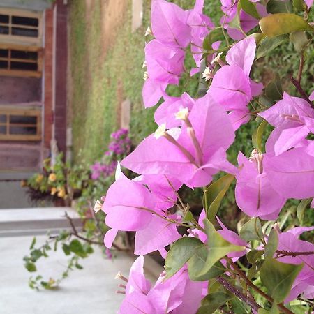 Manik Home Stay Kudapaduwa Екстер'єр фото