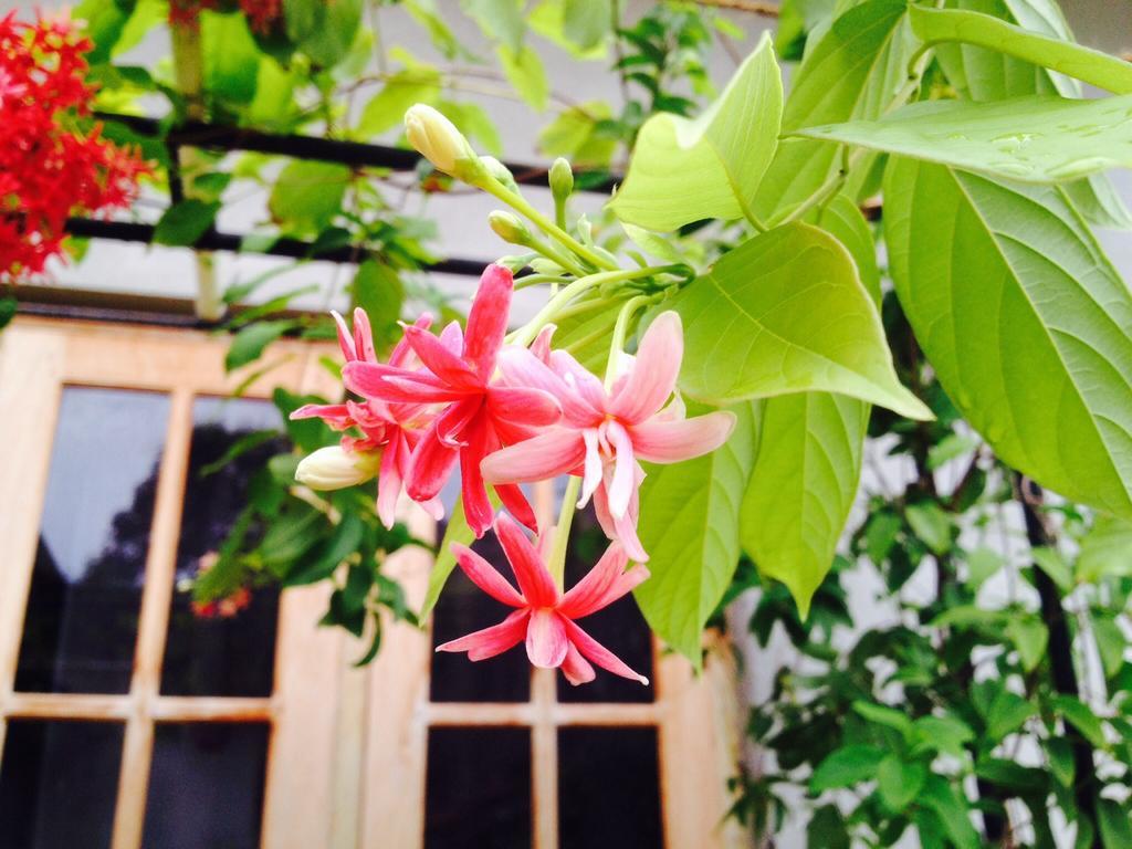 Manik Home Stay Kudapaduwa Екстер'єр фото