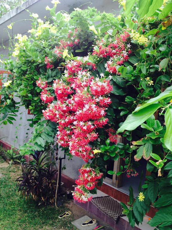 Manik Home Stay Kudapaduwa Екстер'єр фото